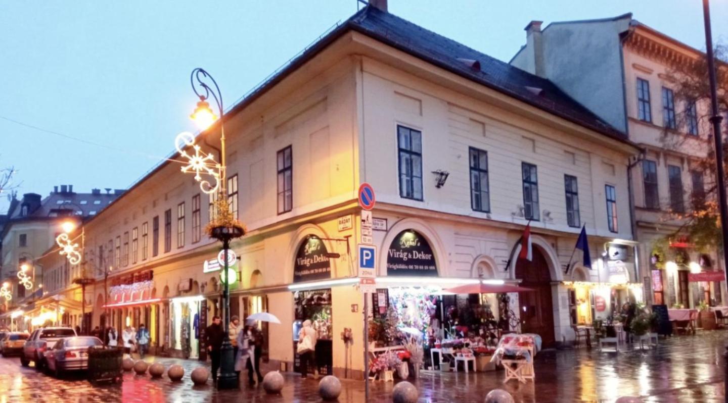Hotel apartamentowy Budapestayz - Raday